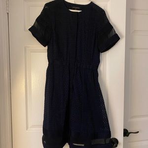 Banana Republic Fit n Flare with Sheer Bands